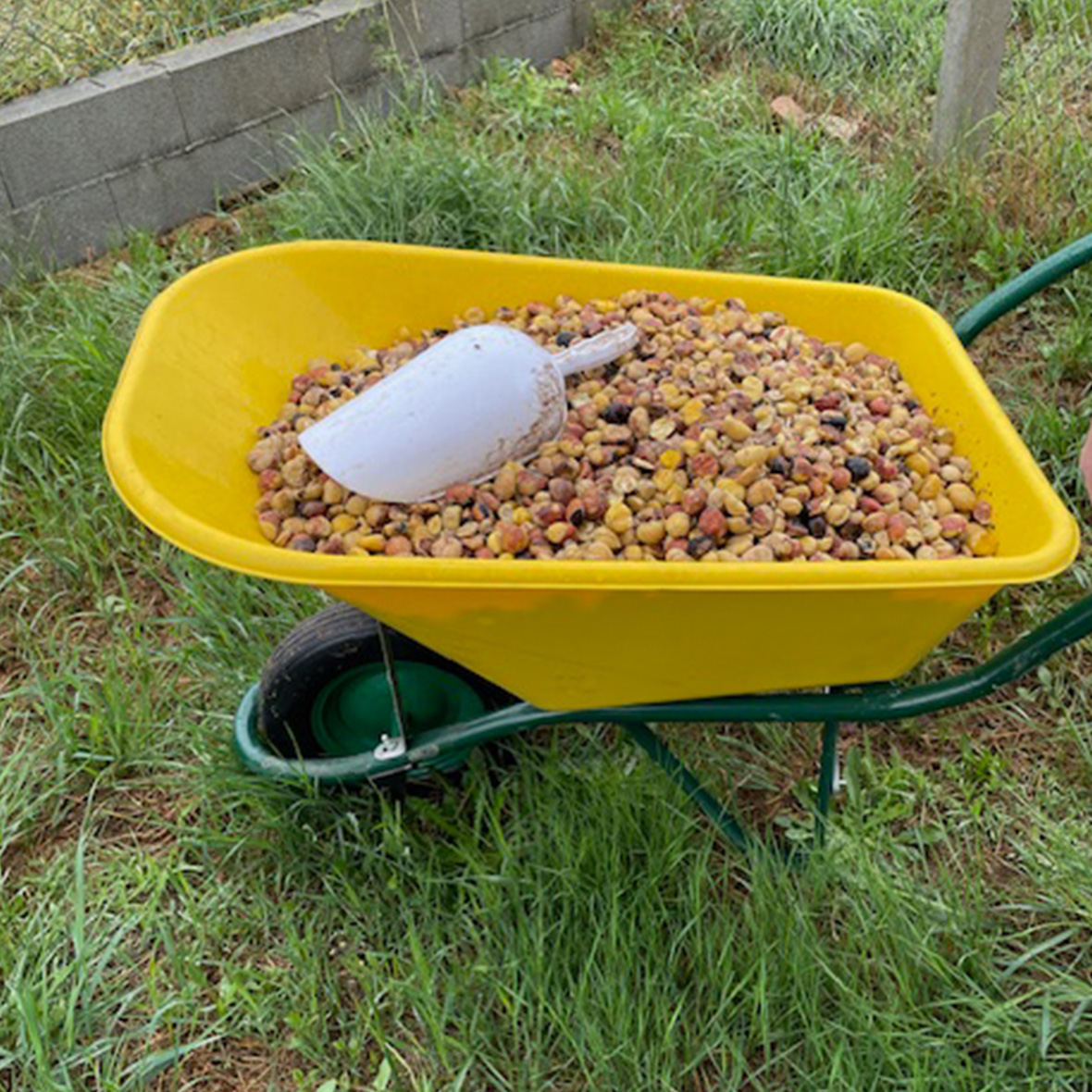 コーレン グランレゼルヴァ・セラーノハム骨付