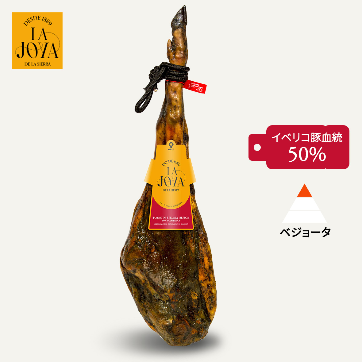 La Joya ハモンイベリコ（アコーンフェッド）骨付 50%血統