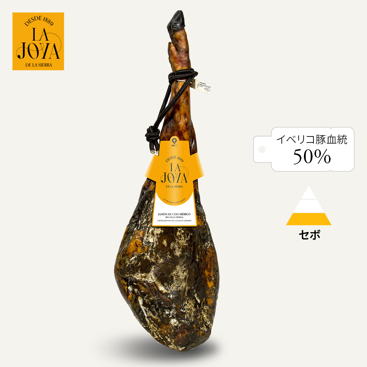 La Joya ハモンイベリコセボ骨付