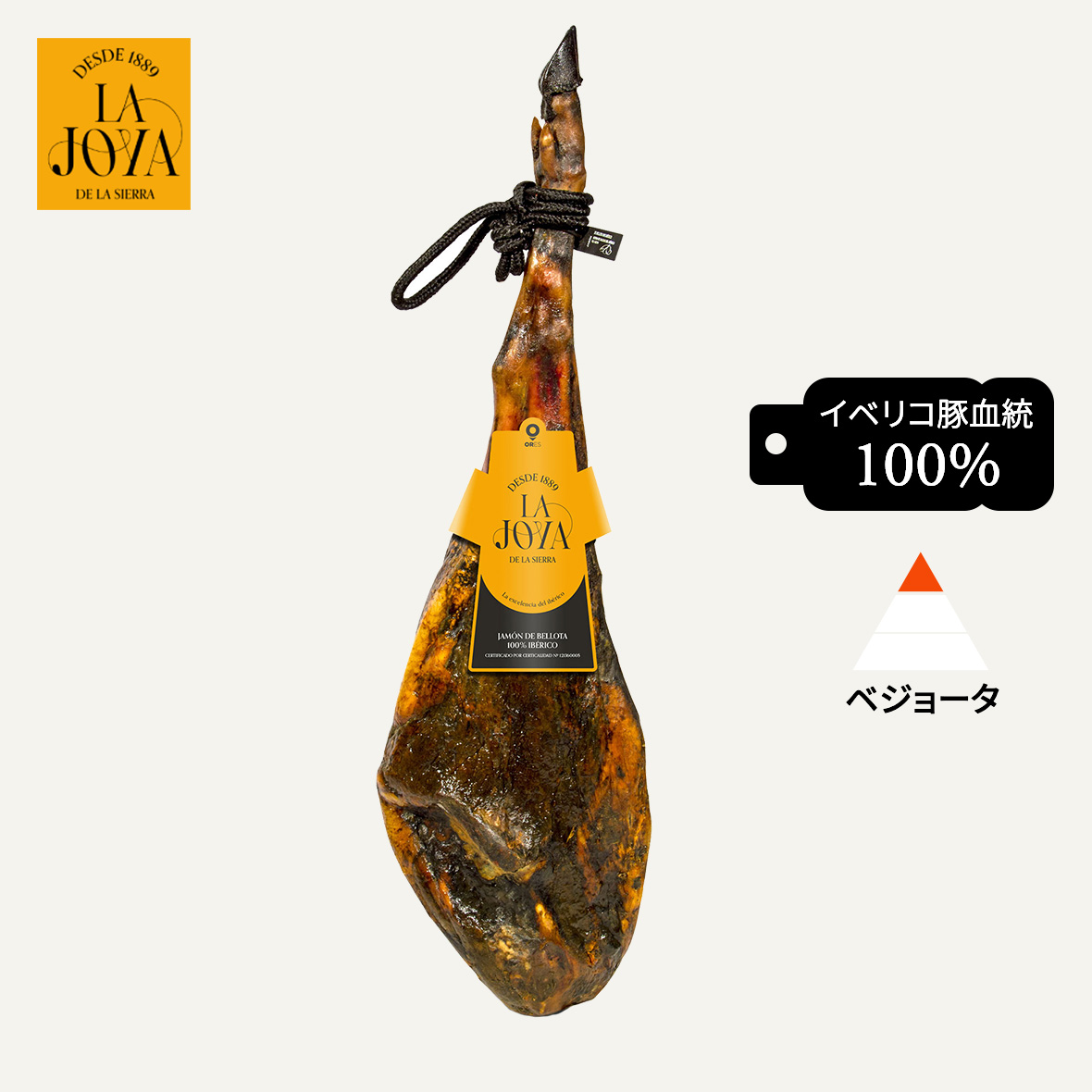 La Joya ハモンイベリコ（アコーンフェッド）骨付 100%血統